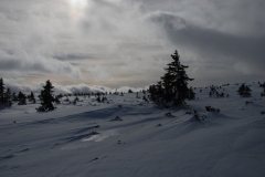 20170225_Karkonosze_37