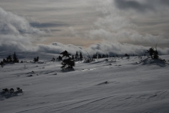 20170225_Karkonosze_38