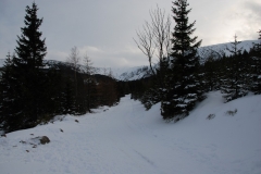 20170225_Karkonosze_54