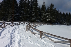 20170225_Karkonosze_6