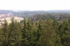 20170325_124818