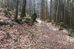 20170409_154235