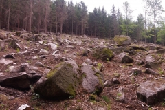 20170604_RudawyJanowicki_08