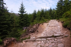 20170615_Karkonosze_03