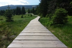 20170615_Karkonosze_04