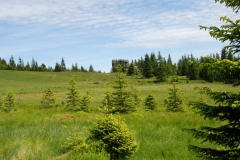 20170615_Karkonosze_05