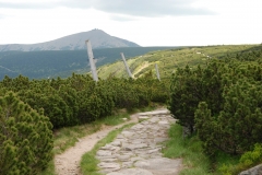 20170615_Karkonosze_13