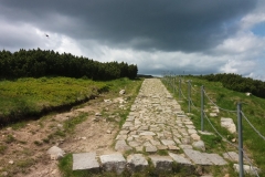 20170615_Karkonosze_14
