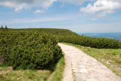 20170615_Karkonosze_18