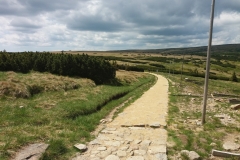 20170615_Karkonosze_19