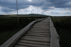 20170615_Karkonosze_22