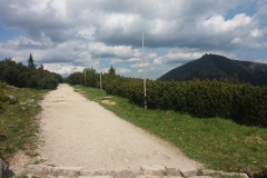 20170615_Karkonosze_23