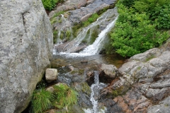 20170615_Karkonosze_29