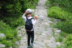 20170615_Karkonosze_30