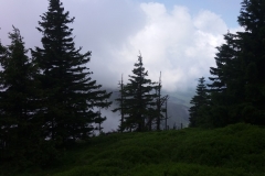 20170702_Okraj_06