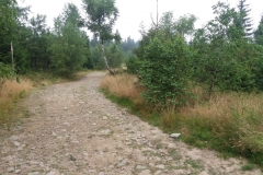 20170806_Beskid_Maly_03
