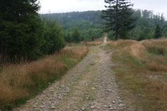 20170806_Beskid_Maly_08