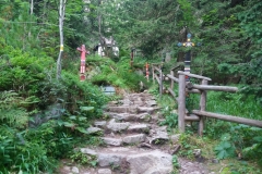 20170809_Rysy_45
