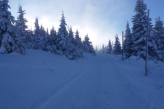 20171202_Samotnia_10