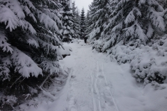 20171202_Samotnia_2