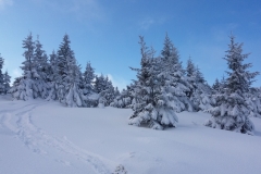 20171202_Samotnia_9