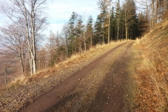 20180106_Walbrzyskie_19