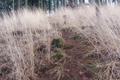 20180106_Walbrzyskie_23