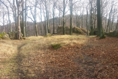 20180106_Walbrzyskie_3