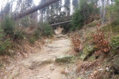 Rudawy_20180114_7