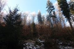 Rudawy_20180114_8