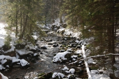 20180125_Ornak_10