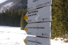 20180125_Ornak_11