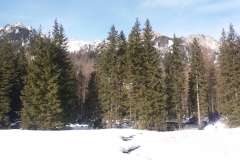 20180125_Ornak_12