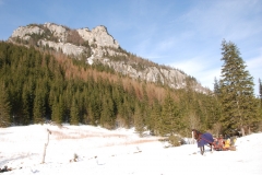 20180125_Ornak_14