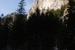 20180125_Ornak_16