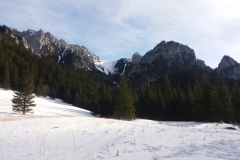 20180125_Ornak_3