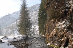 20180125_Ornak_4