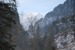 20180125_Ornak_7