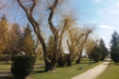 20180330_Trino_9