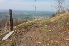 20180415_Opawskie_27