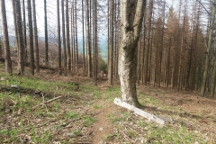 20180415_Opawskie_30