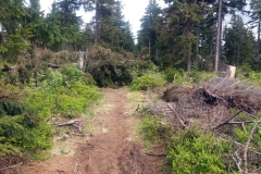 20180501_Snieznik_11