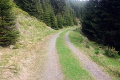 20180501_Snieznik_14