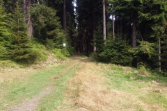 20180501_Snieznik_19