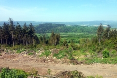 20180501_Snieznik_2