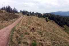 20180501_Snieznik_27