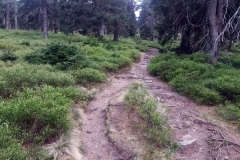 20180501_Snieznik_34