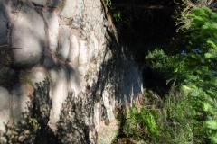 20180519_Brumowskie_27