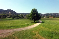 20180531_Ostas_9