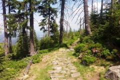 20180601_Karkonosze_10